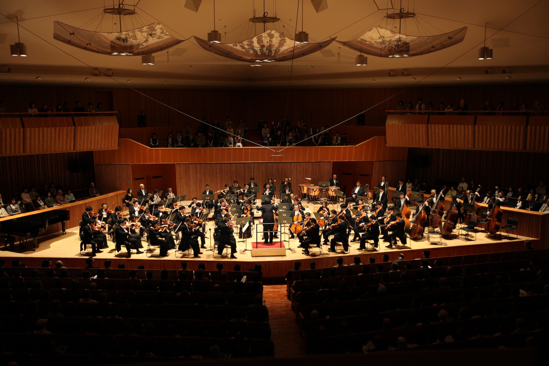 Concert Image