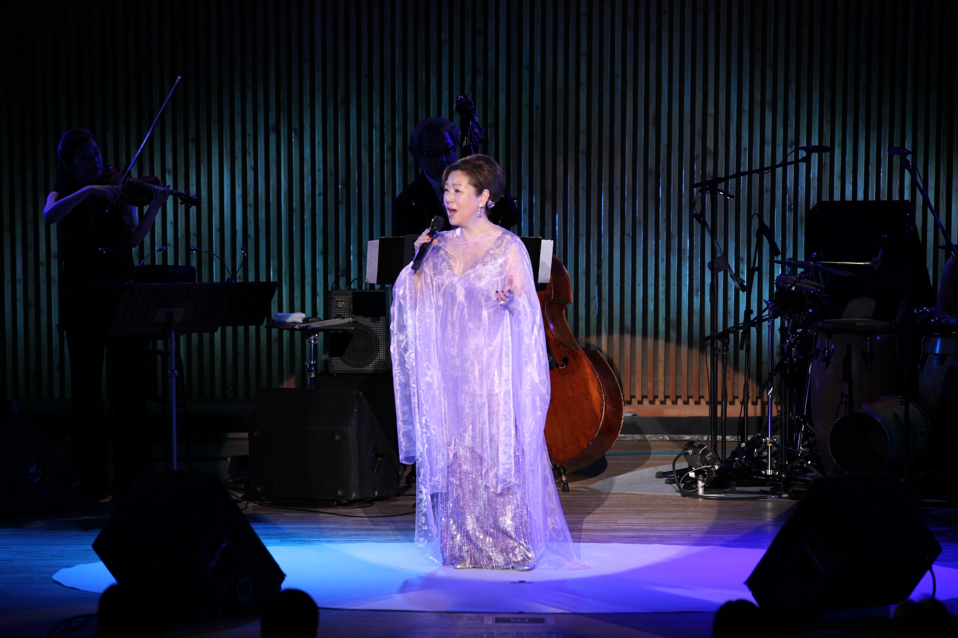 Concert Image