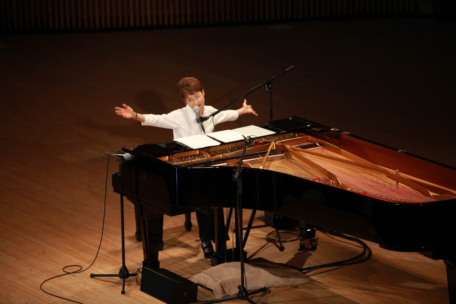 Concert Image
