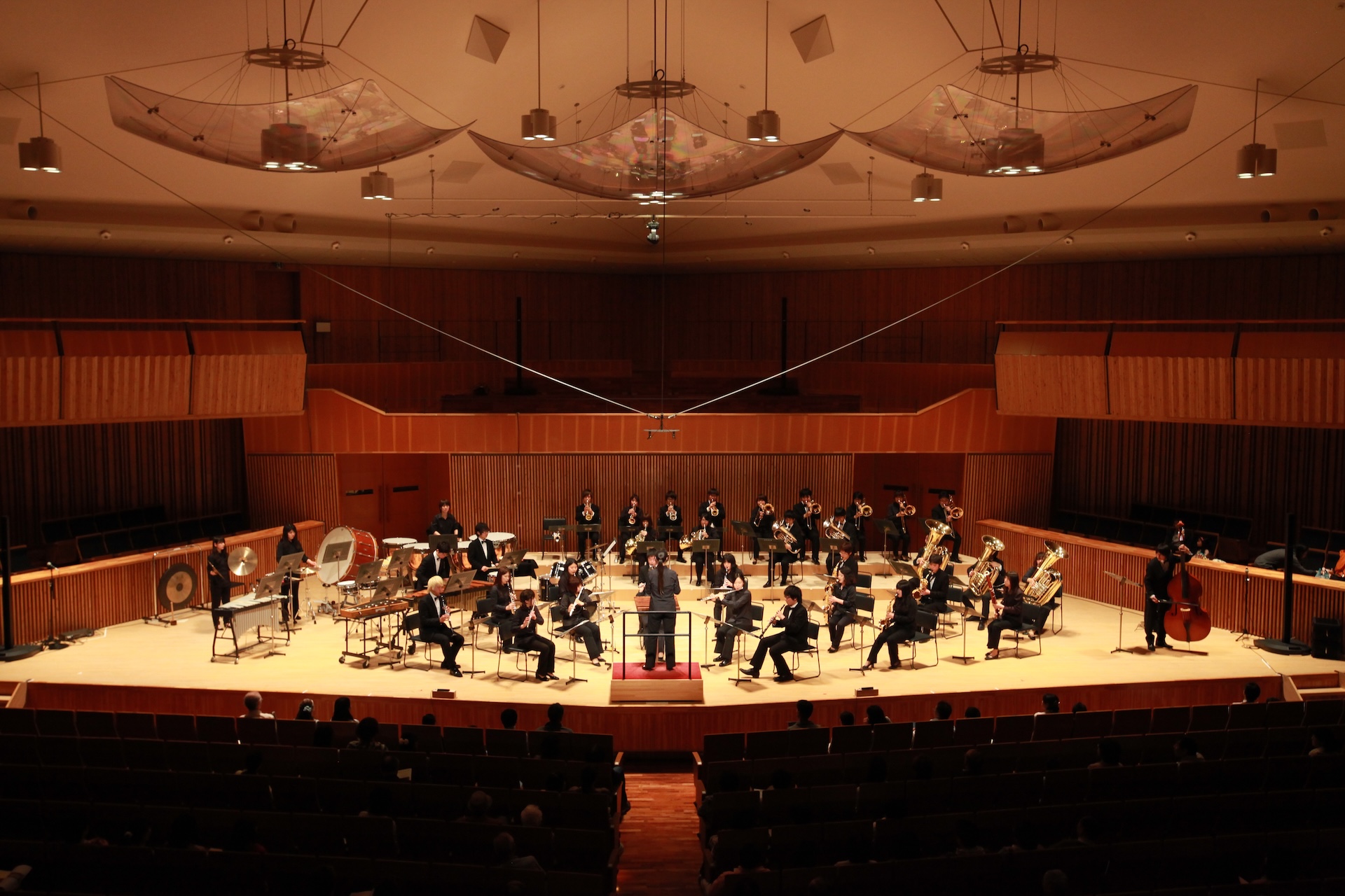 Concert Image