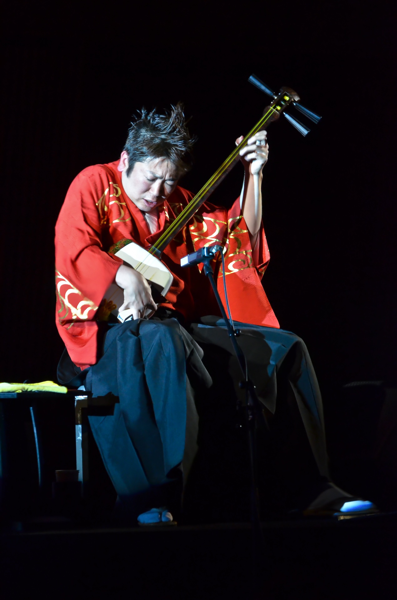 Concert Image