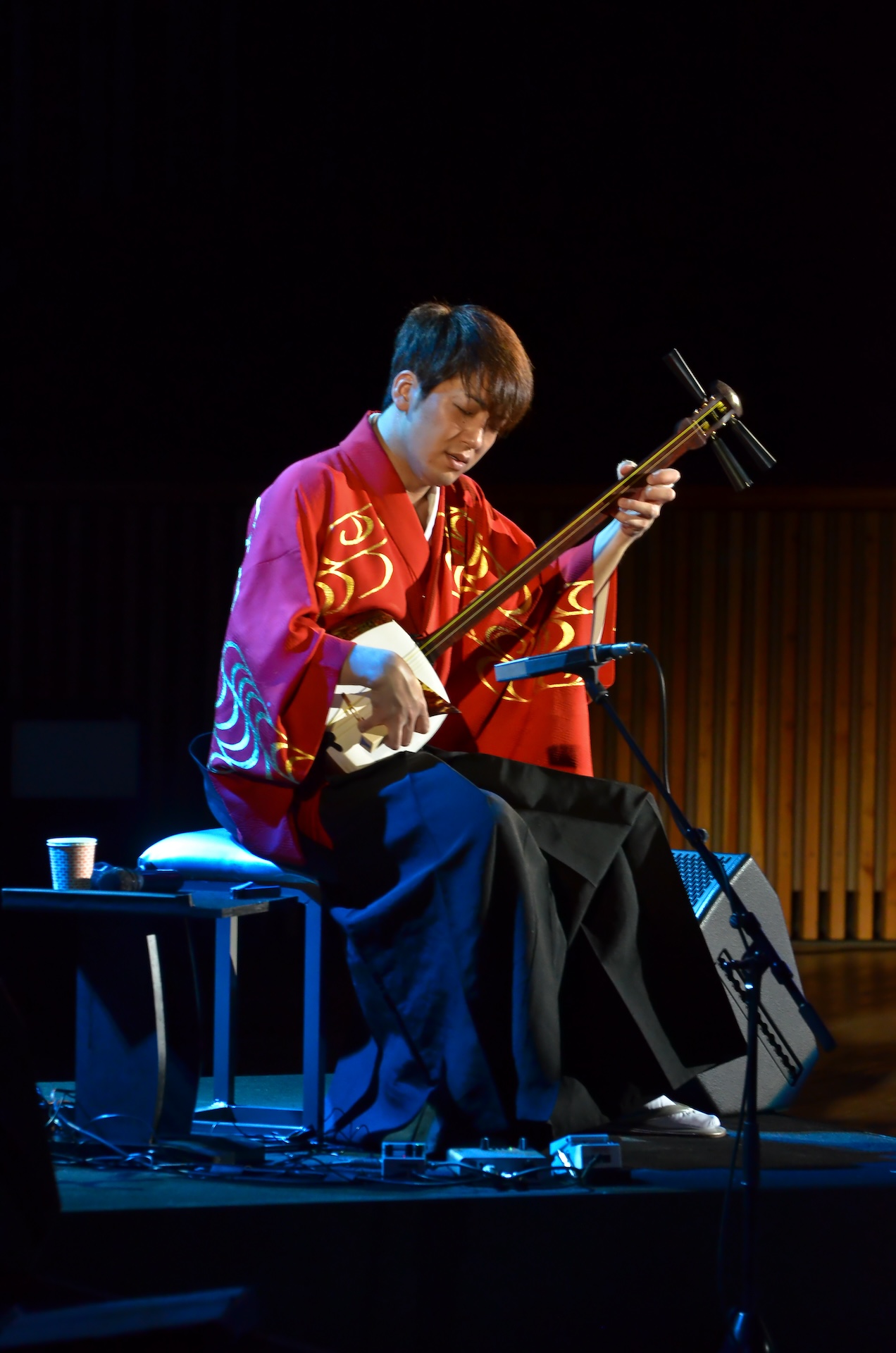 Concert Image