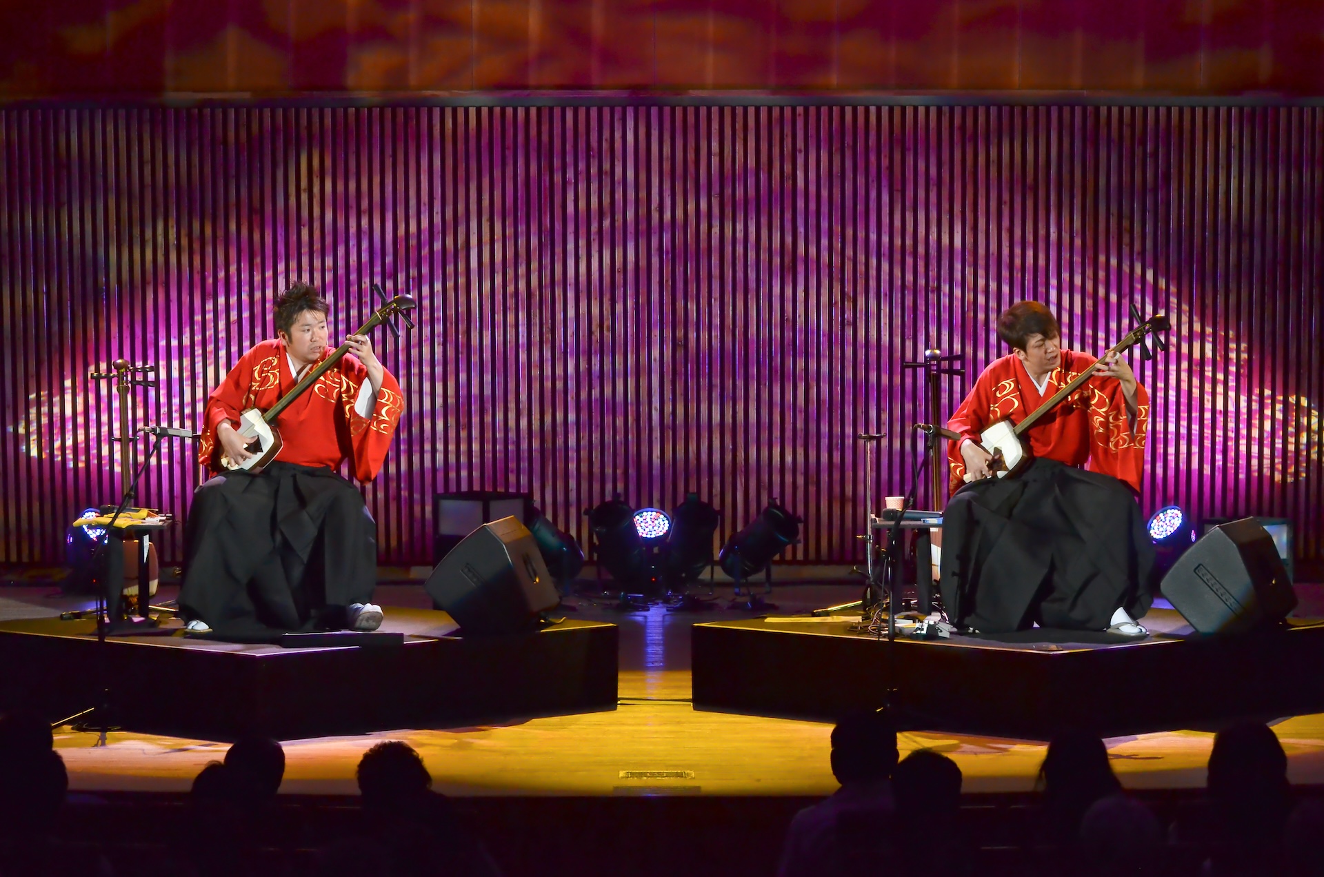 Concert Image