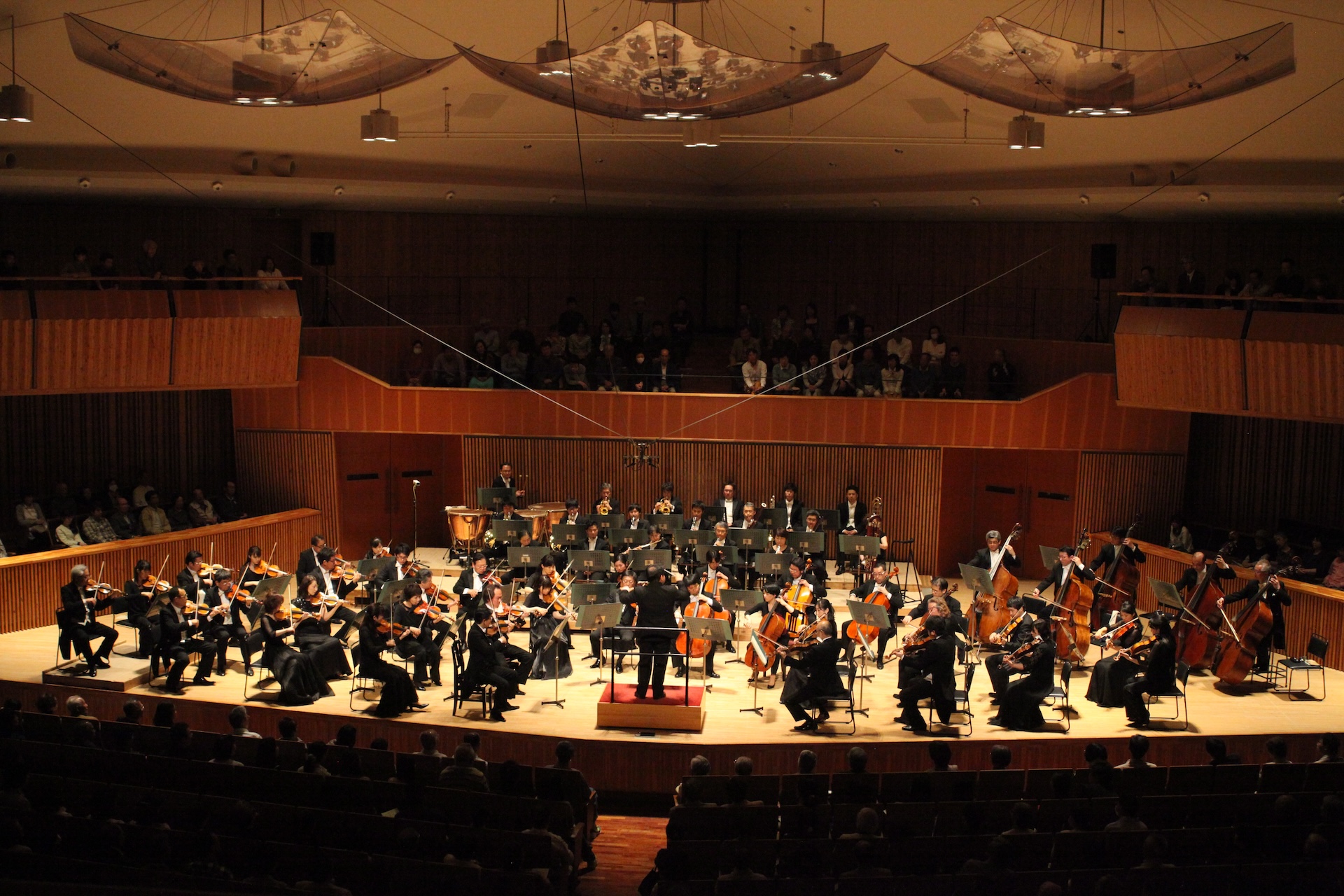 Concert Image