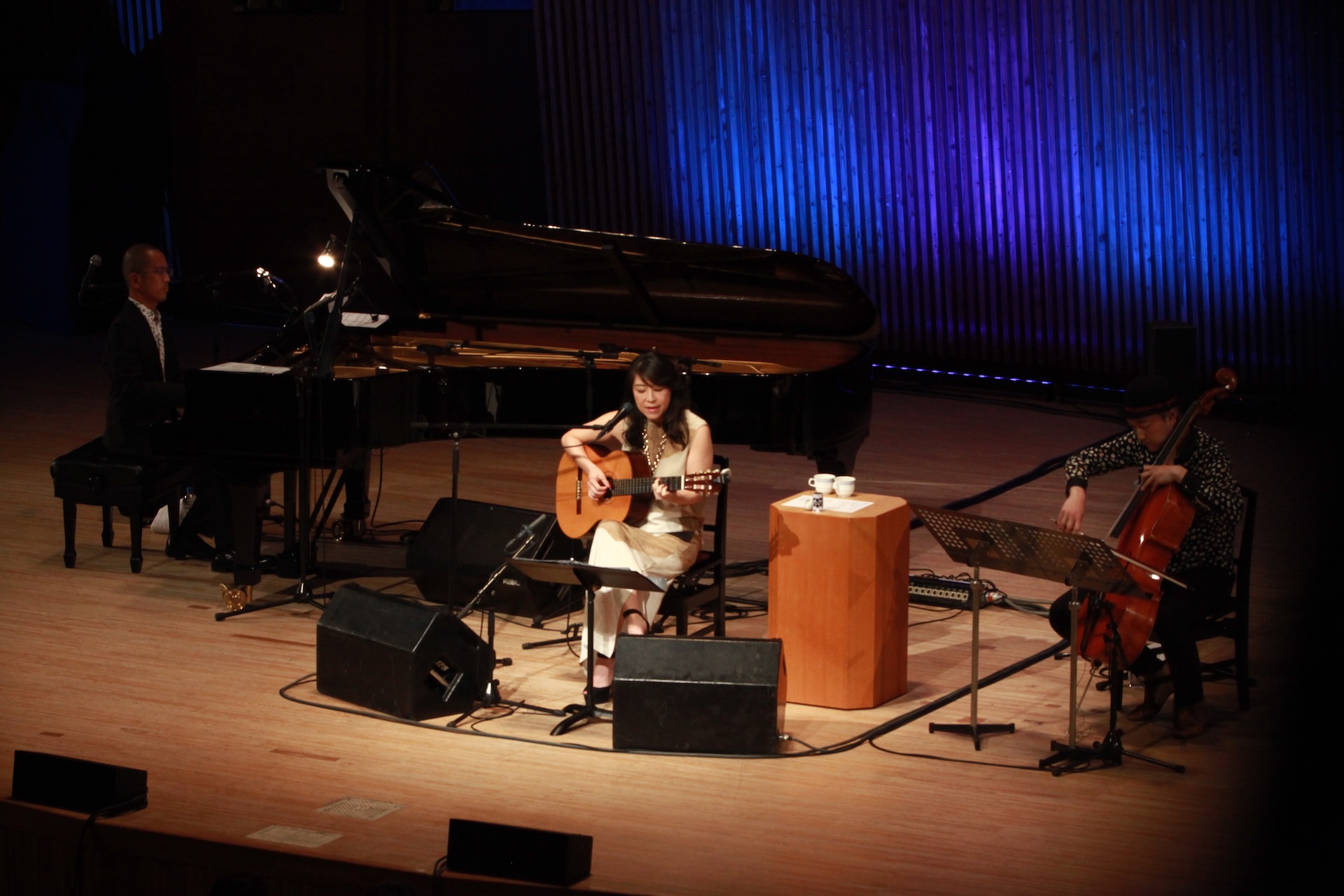 Concert Image