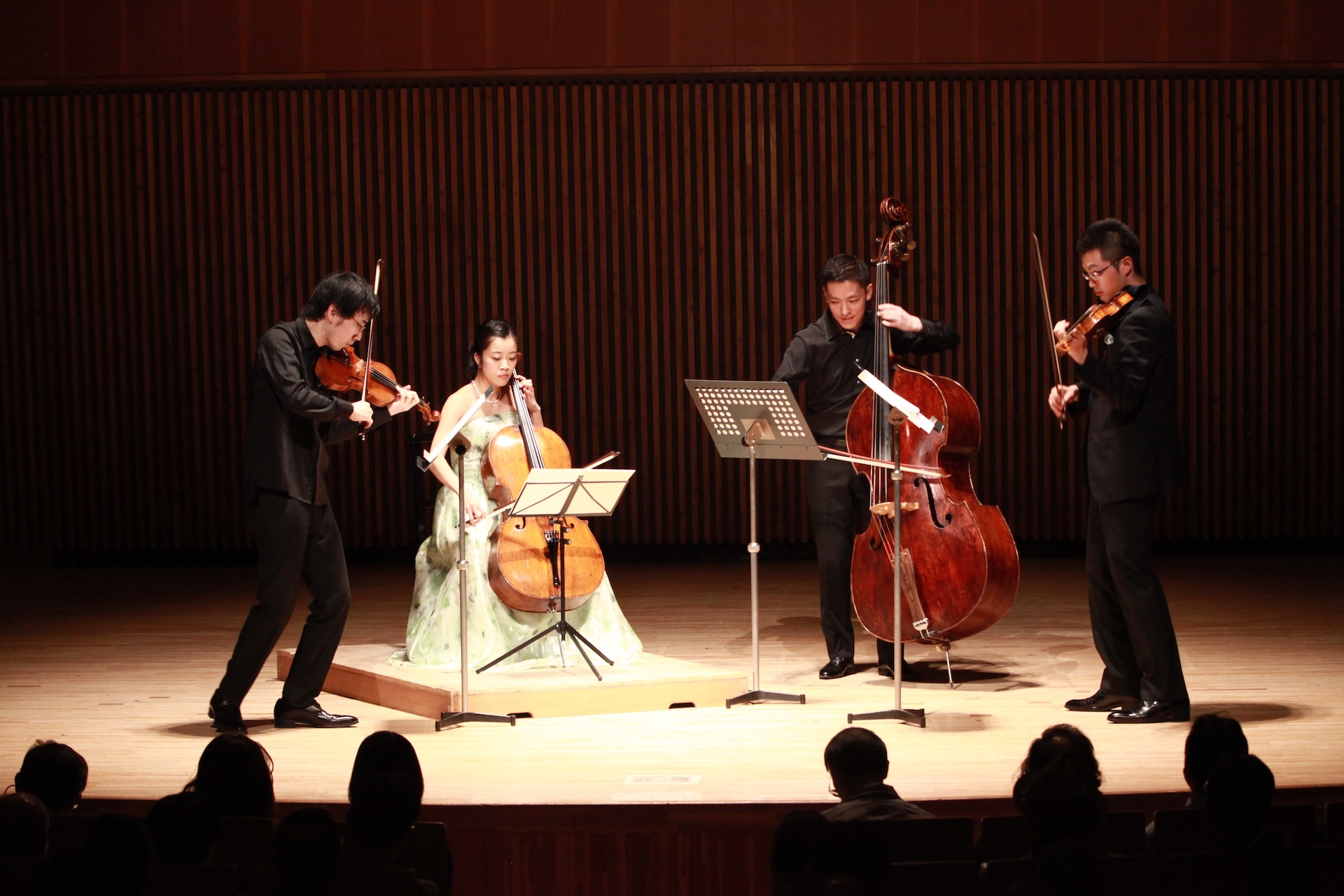 Concert Image