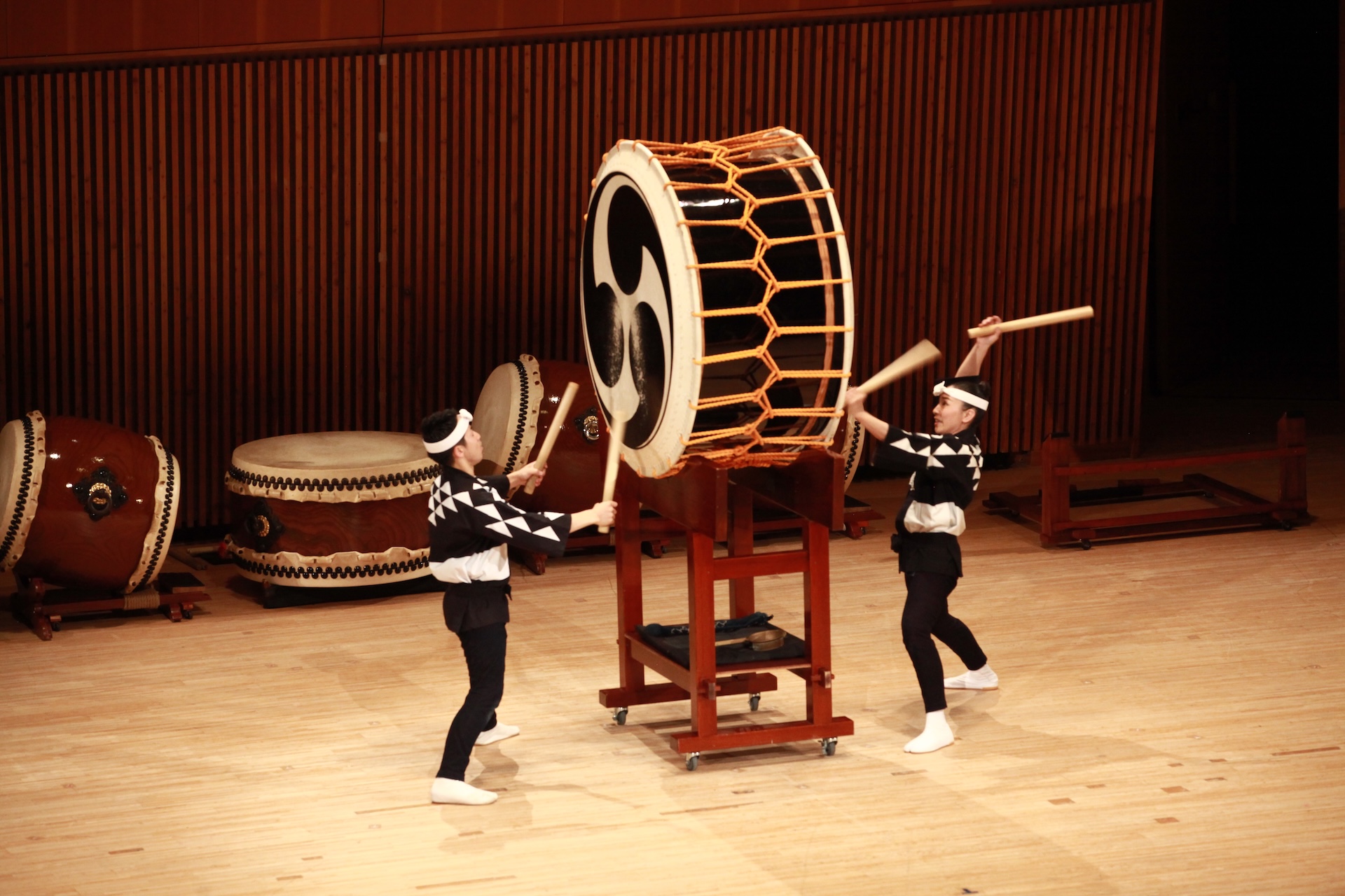 Concert Image