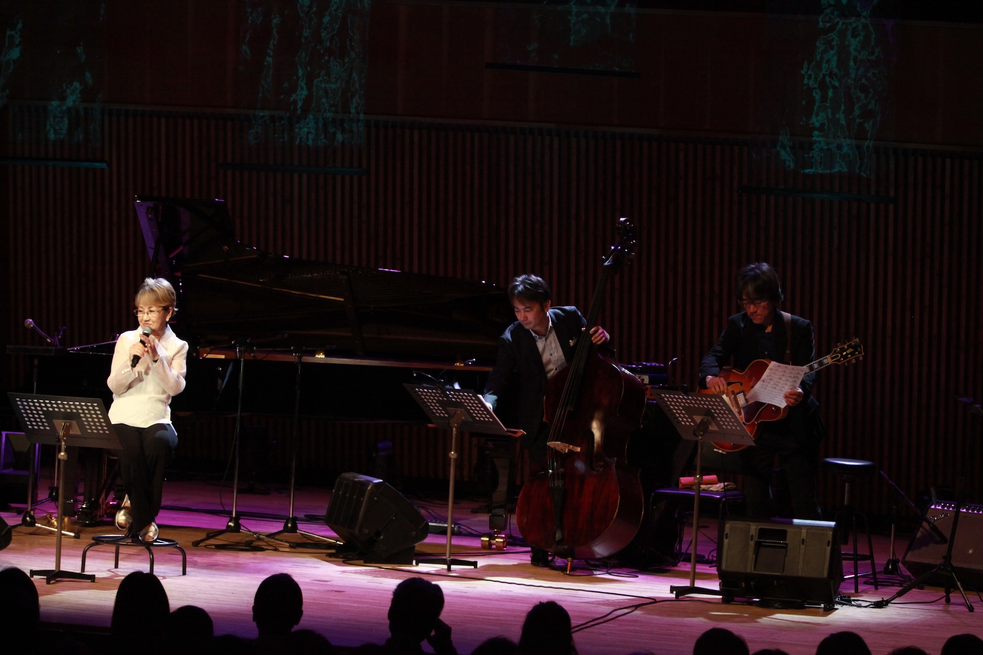 Concert Image