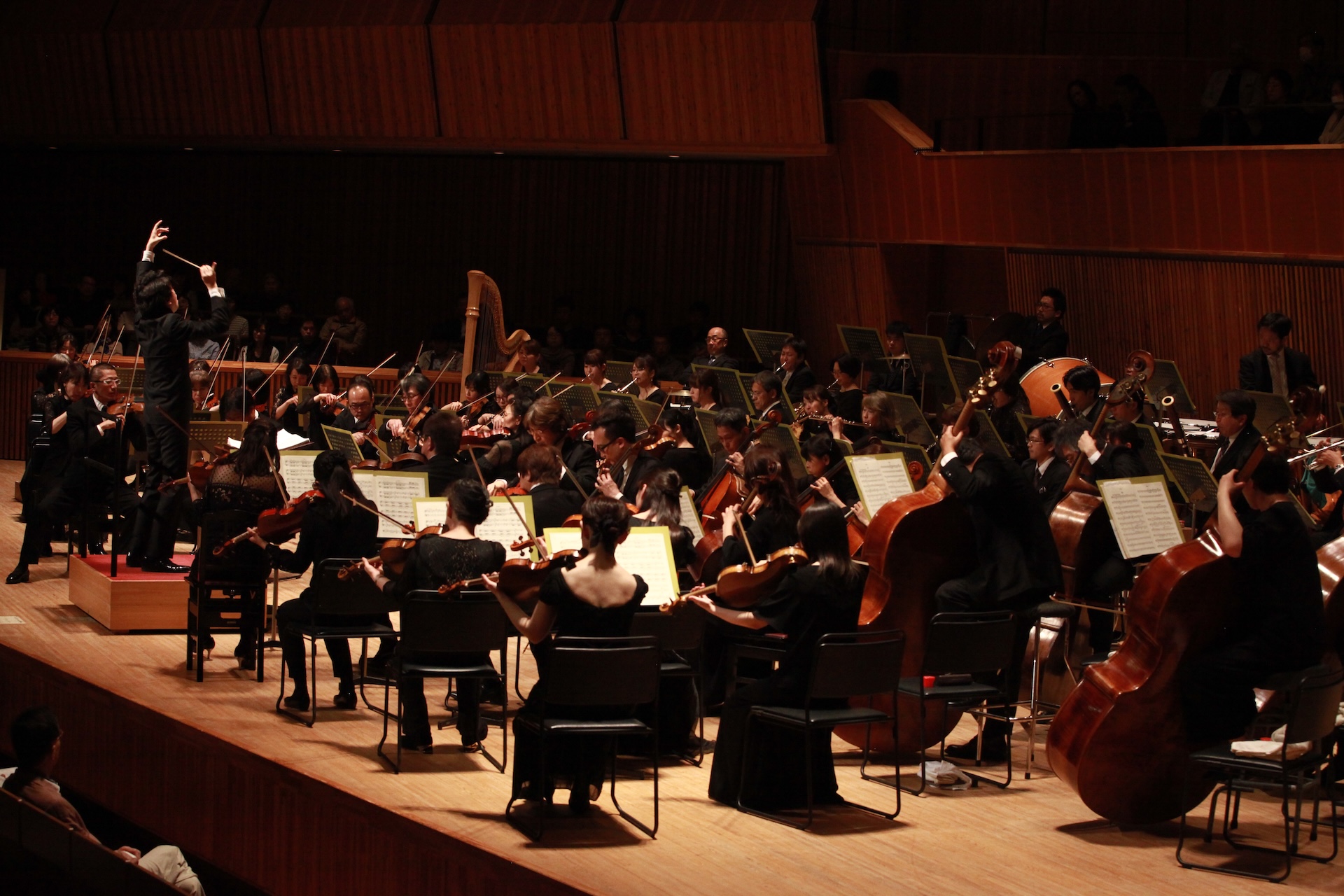 Concert Image