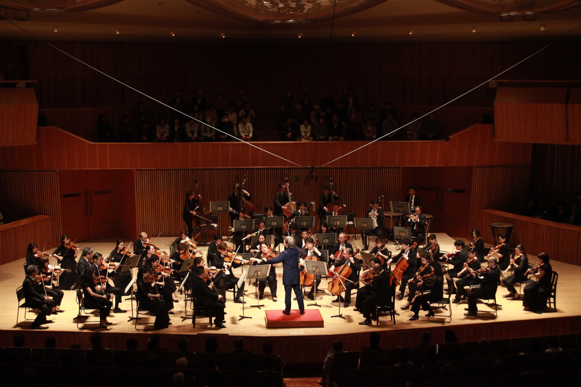 Concert Image