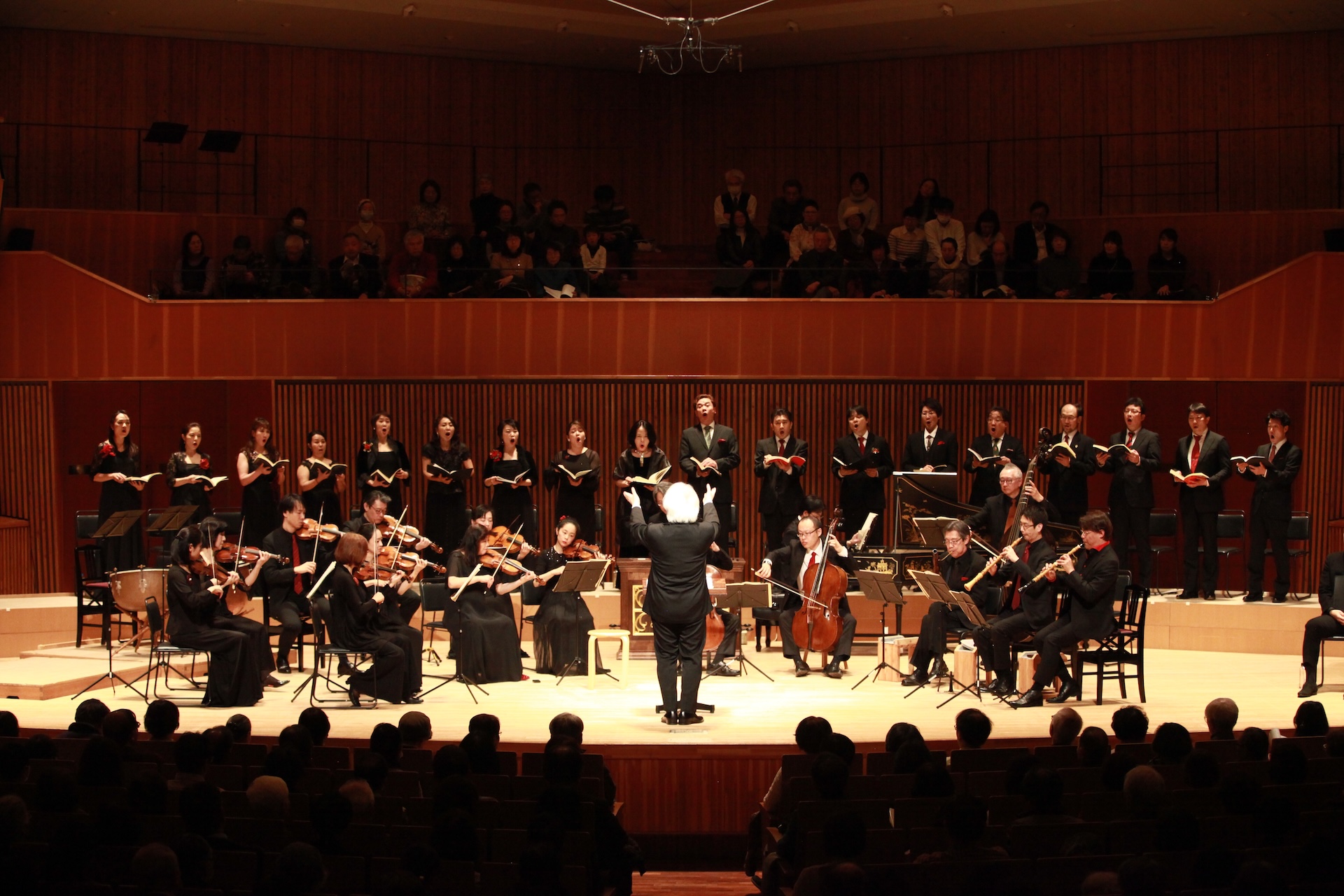 Concert Image