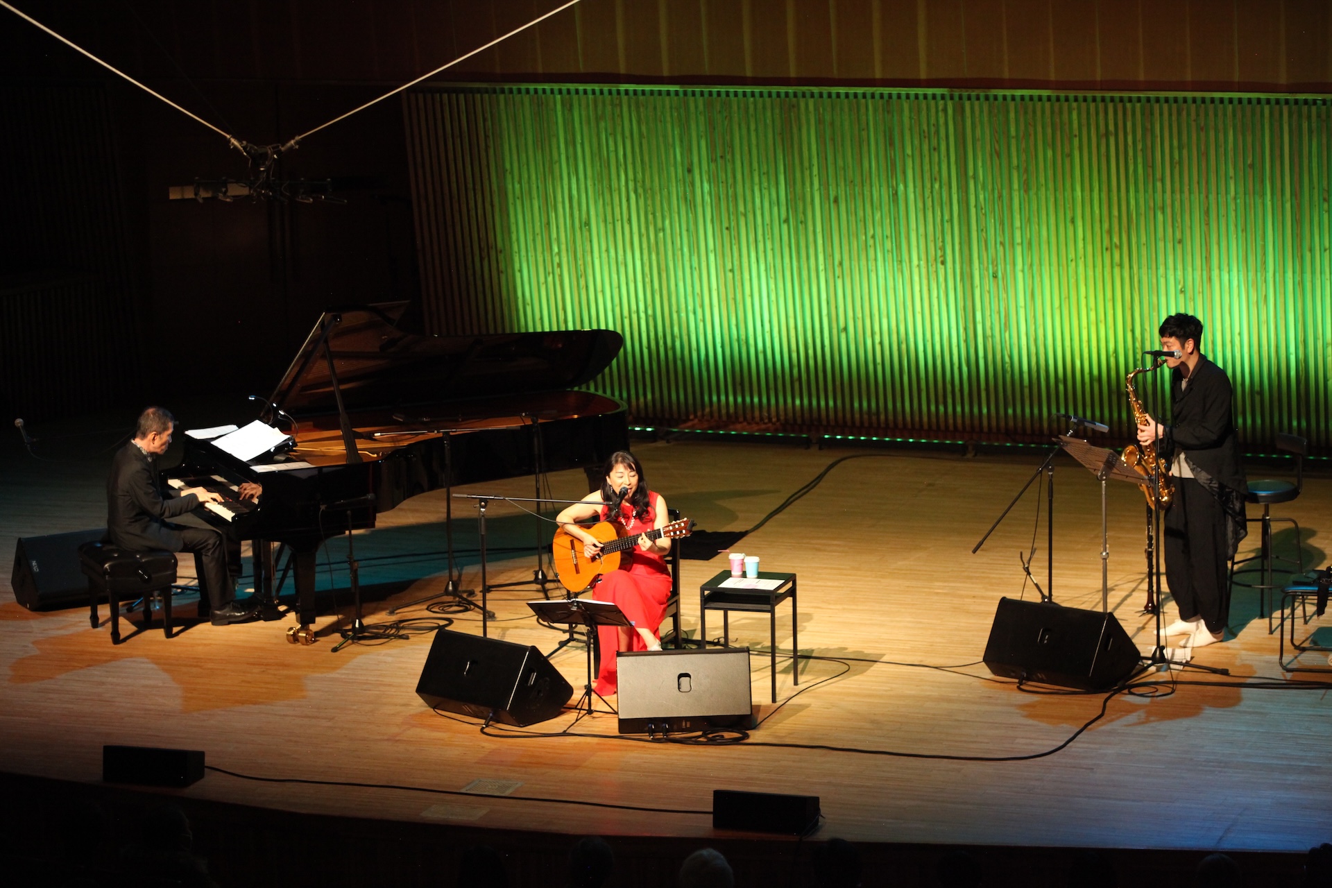Concert Image