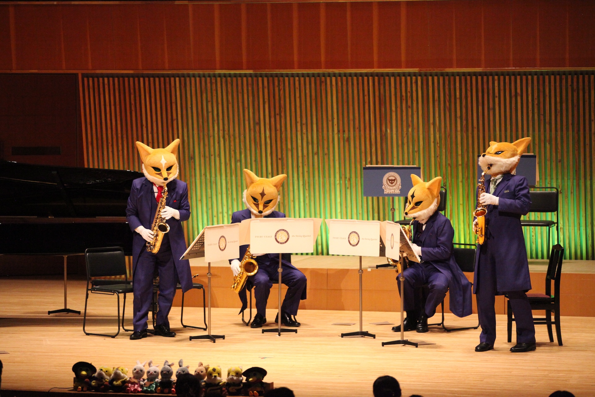 Concert Image