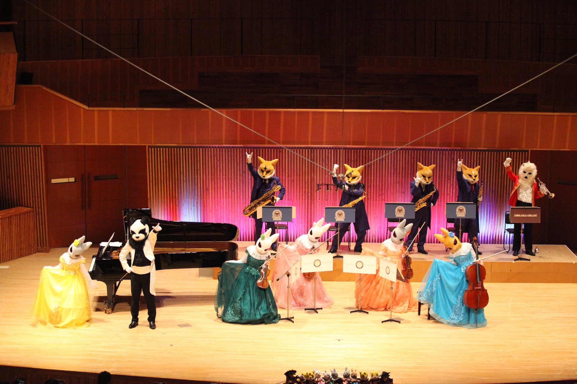 Concert Image