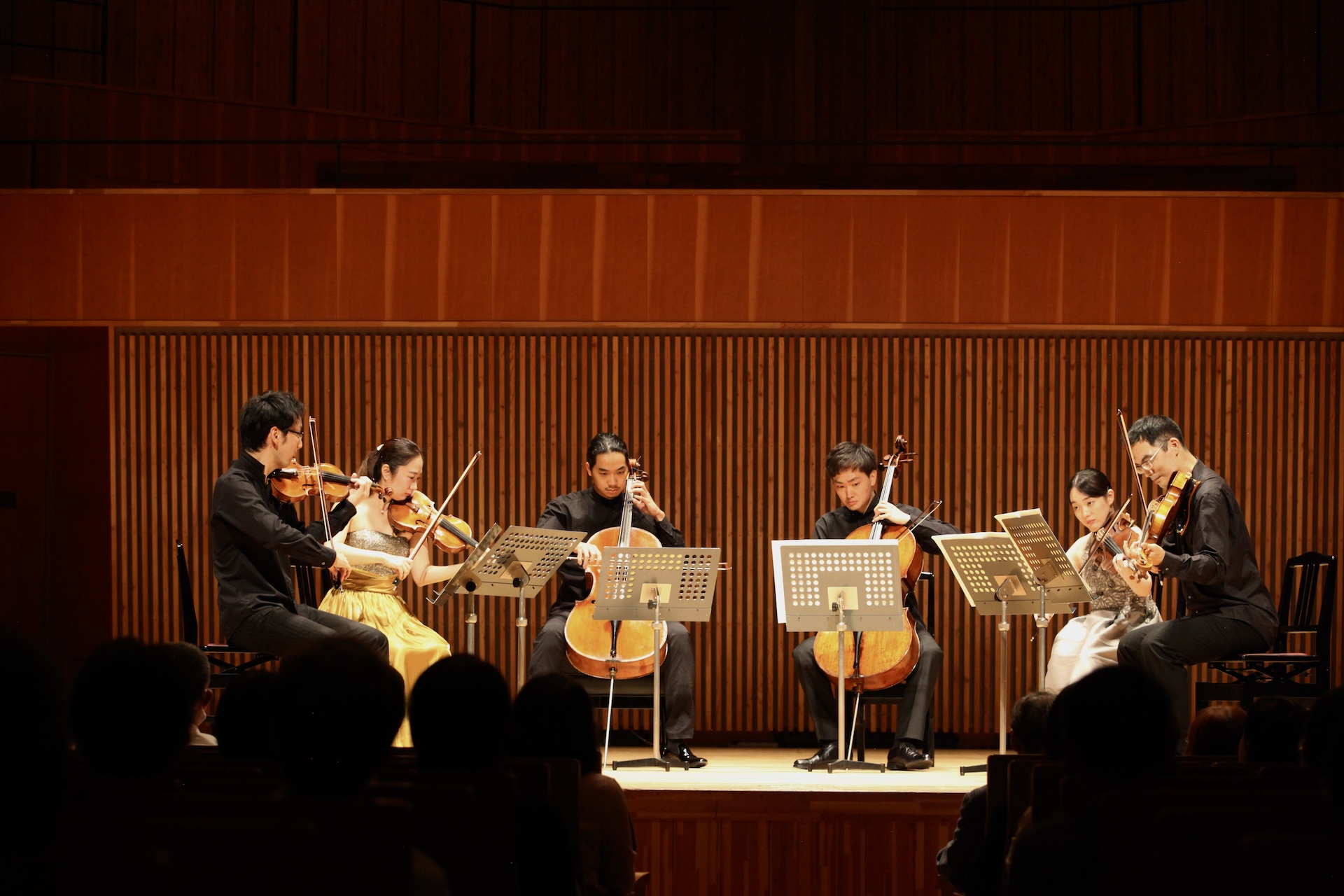 Concert Image