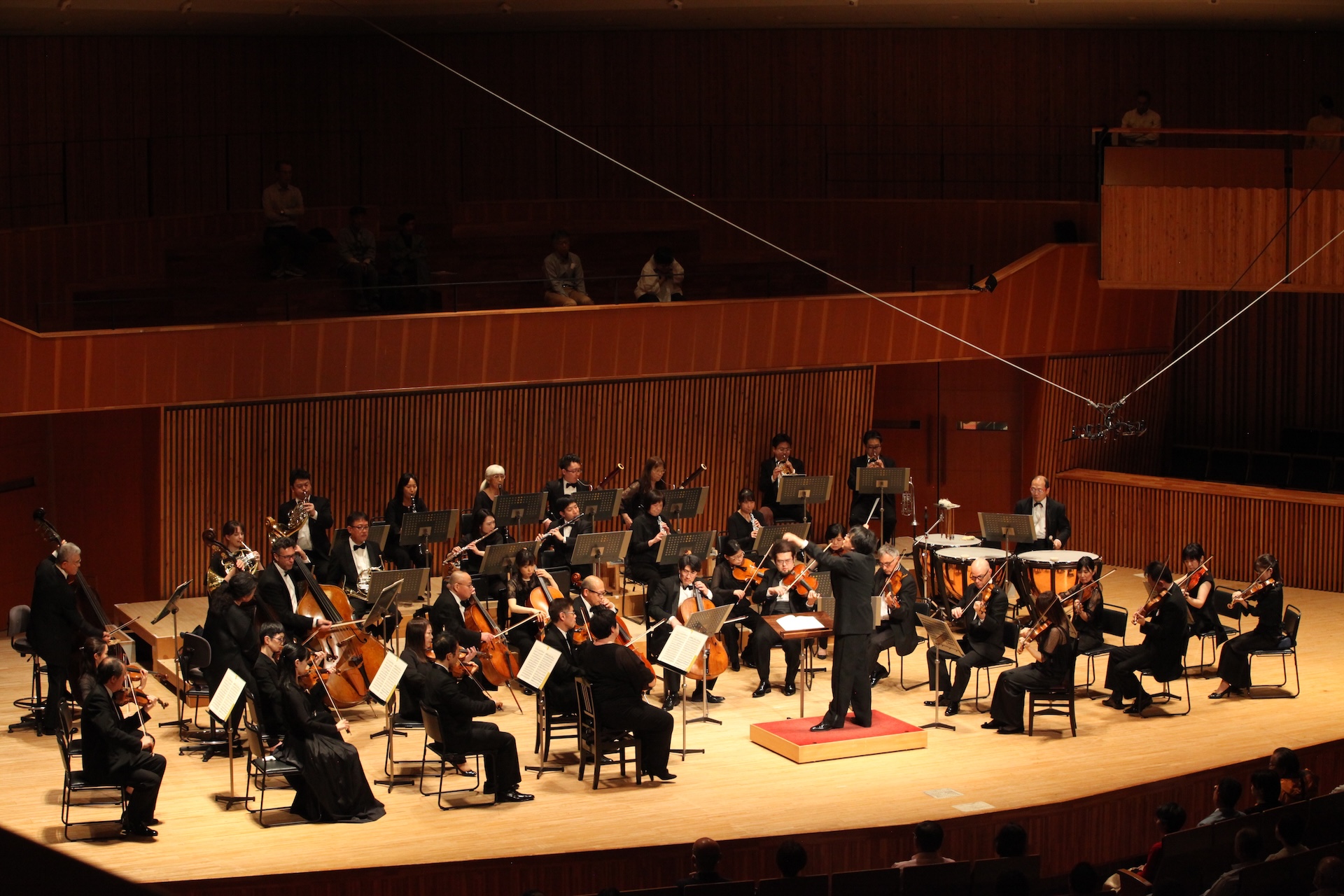 Concert Image