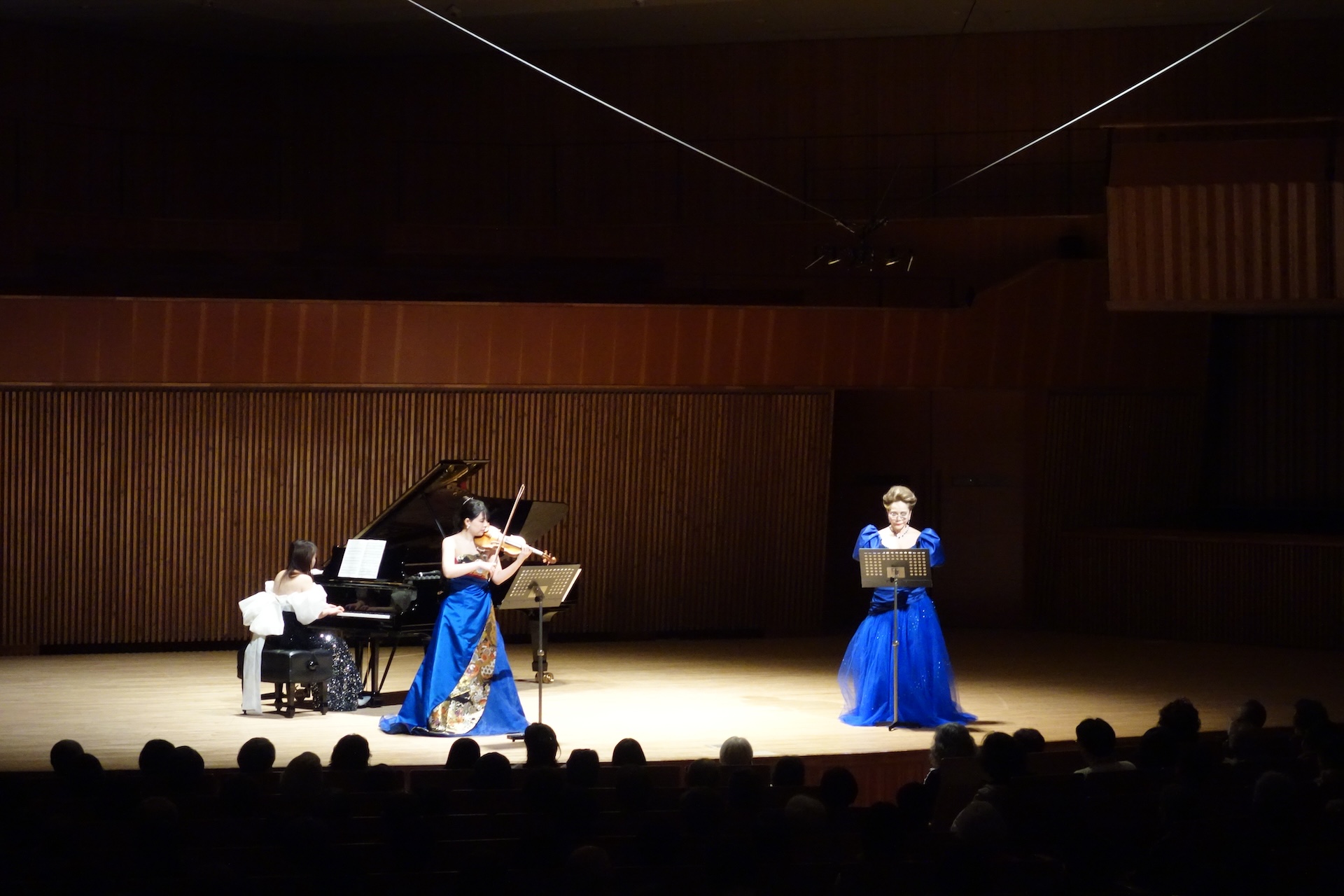 Concert Image