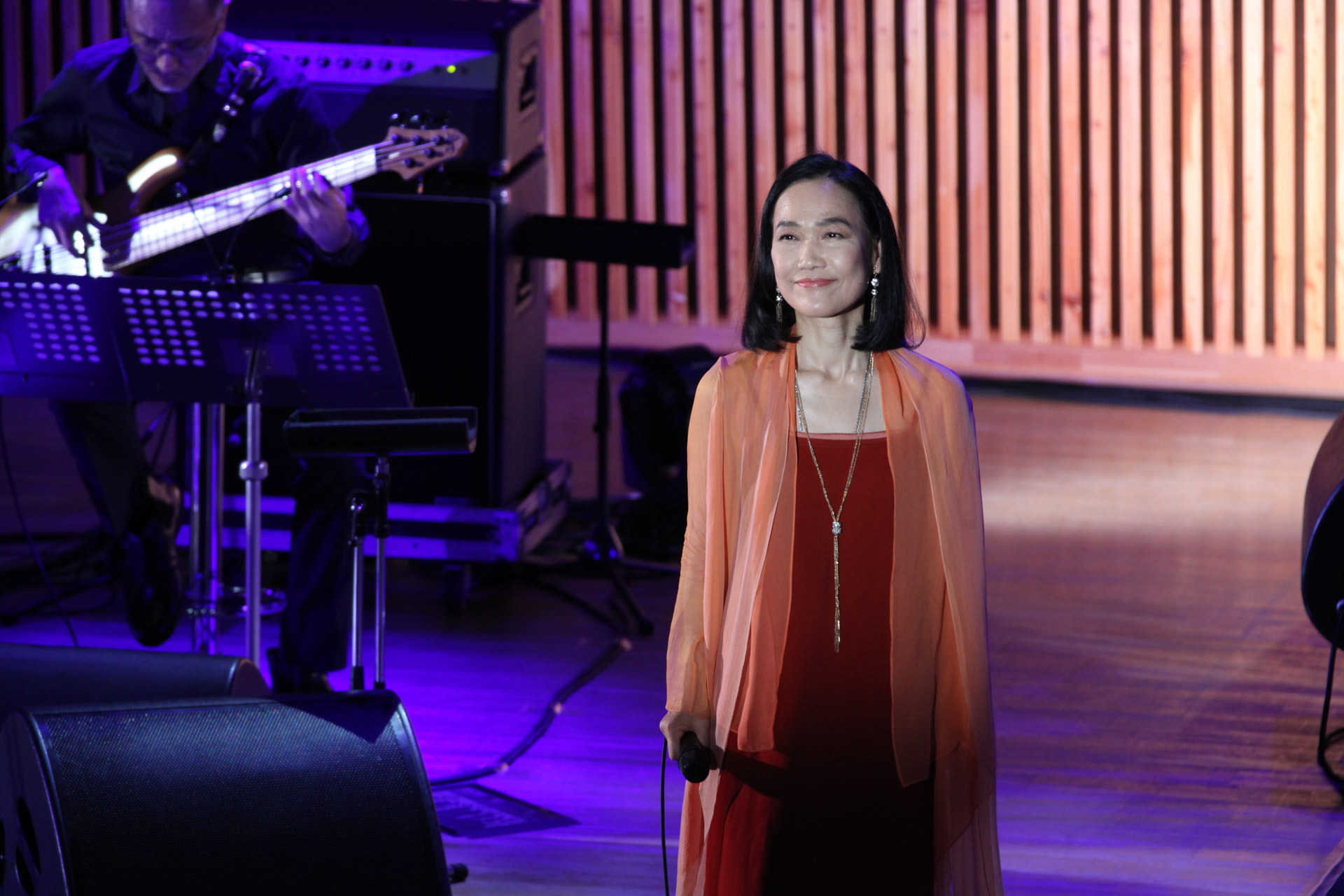 Concert Image