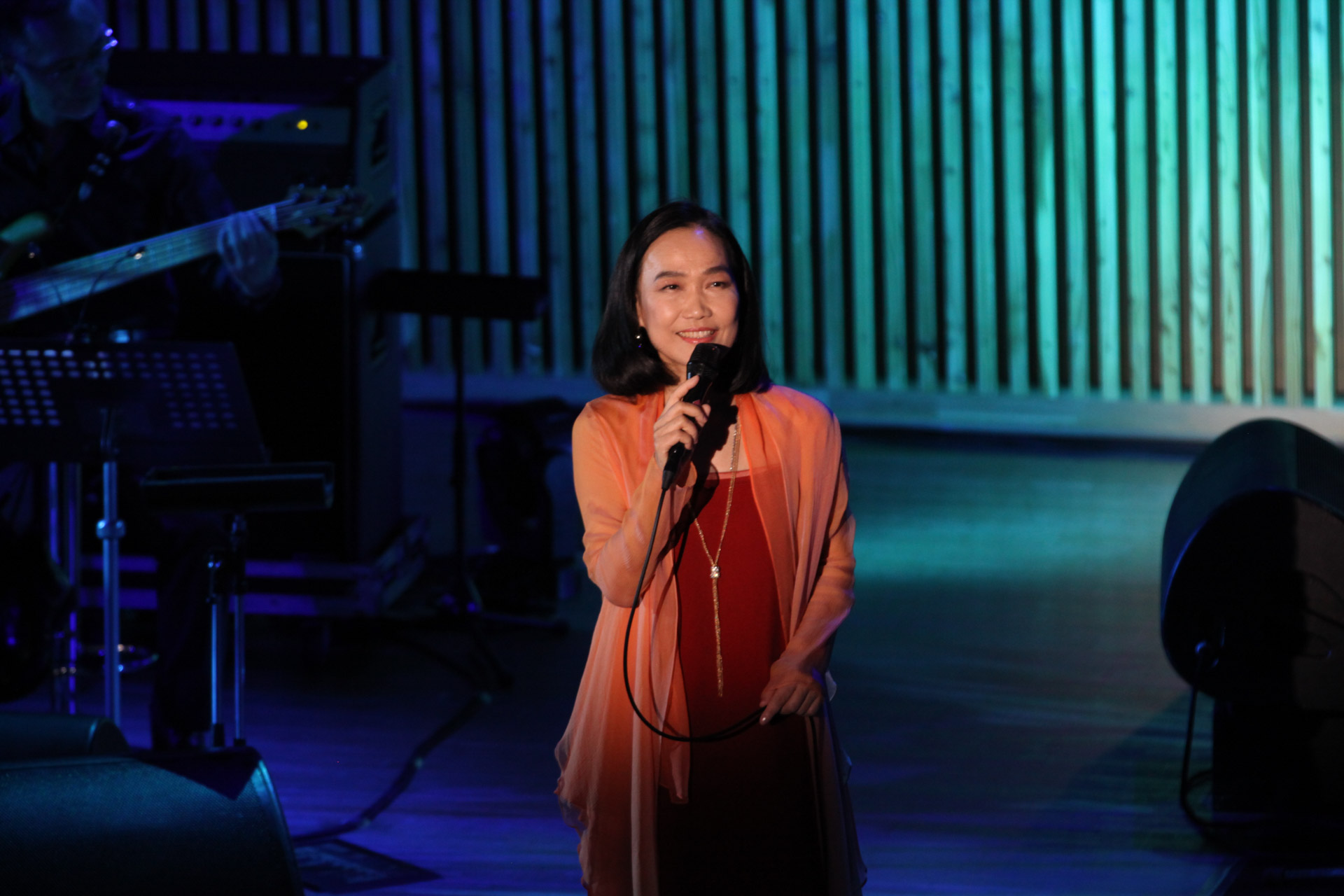 Concert Image
